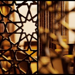فندق باهي عجمان بالاس--عجمان-6