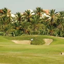 Tozeur Oasis Golf, Tozeur-Jardins, parcs & Clubs-Sfax-1