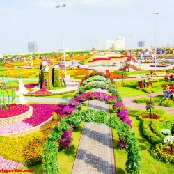 ميراكل غاردن دبي-الحدائق والنوادي-دبي-6