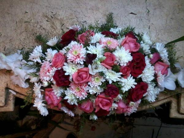زهور برغوت‎ - زهور الزفاف - الاسكندرية