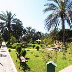 فندق الواحة الخضراء-الفنادق-مسقط-5