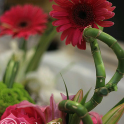 صولا فلورا-زهور الزفاف-مسقط-1