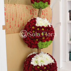 صولا فلورا-زهور الزفاف-مسقط-2