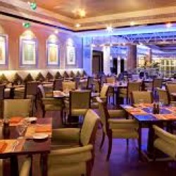 India Palace – Al Garhoud-Restaurants-Dubai-4