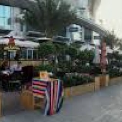 Salsa Restaurant-Restaurants-Dubai-6