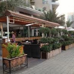 Salsa Restaurant-Restaurants-Dubai-5