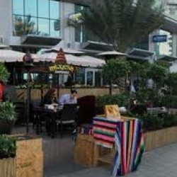 Salsa Restaurant-Restaurants-Dubai-3