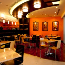 Oregano - Emaar – The Greens-Restaurants-Dubai-6