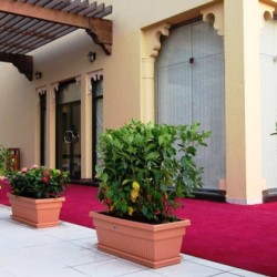 مطعم المرحباني - مزما-المطاعم-دبي-3