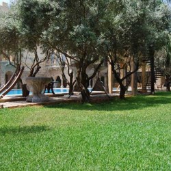 فندق الساحة-الفنادق-بيروت-4