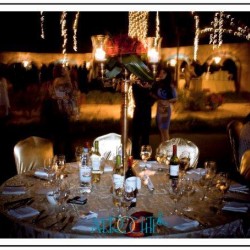 Afrodite Event Planning & Management-Wedding Planning-Dubai-2