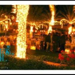 Afrodite Event Planning & Management-Wedding Planning-Dubai-4