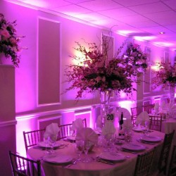 Evento Events & Wedding Planner-Wedding Planning-Abu Dhabi-2