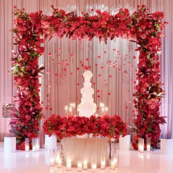 casa amore for wedding planning-Wedding Planning-Dubai-4
