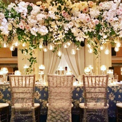casa amore for wedding planning-Wedding Planning-Dubai-2