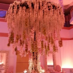 Bait Al Saada Wedding Services-Wedding Planning-Sharjah-5
