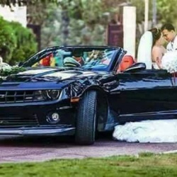 السعيد لسيرات الزفاف-سيارة الزفة-القاهرة-3