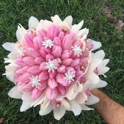 Litchi flowers and events -Wedding Planning-Sharjah-5