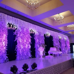 Litchi flowers and events -Wedding Planning-Sharjah-3