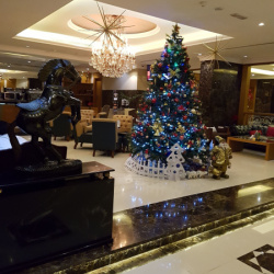 Al Khaleej Plaza Hotel-Hotels-Dubai-6