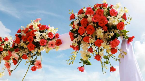 ركن الزهور فلاورز - زهور الزفاف - الشارقة