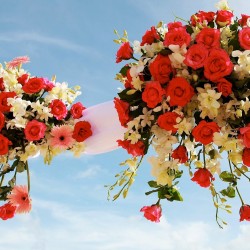 ركن الزهور فلاورز-زهور الزفاف-الشارقة-1