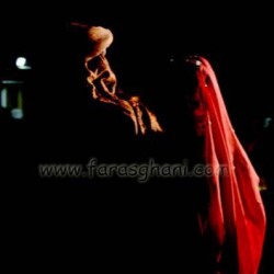 فاراس غاني-التصوير الفوتوغرافي والفيديو-الدوحة-3