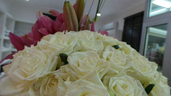 فلامنغو - زهور الزفاف - الدوحة