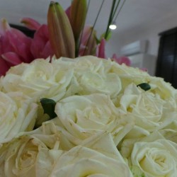 فلامنغو-زهور الزفاف-الدوحة-1