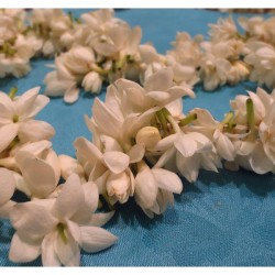 البستان فلاورز-زهور الزفاف-أبوظبي-6
