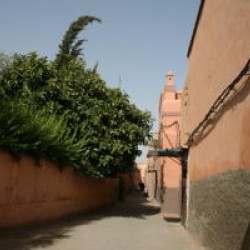 Maison Africa--Marrakech-6