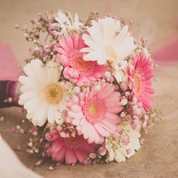 لافاندر روز-زهور الزفاف-مسقط-1