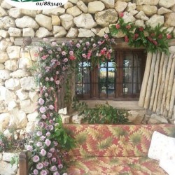 فلاور زون-زهور الزفاف-بيروت-6