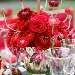 بيلا لا روز-زهور الزفاف-مسقط-4