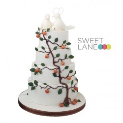 Sweet Lane Cakes-Wedding Cakes-Dubai-2