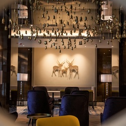 Radisson Blu Hotel Ajman--Ajman-2