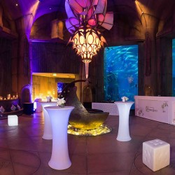 Atlantis, The Palm Hotel & Resort-Hotels-Dubai-3