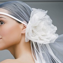 Perfect Shape Up Beauty centre-Bodycare & Spa-Dubai-2