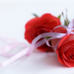 AUX DEUX LILAS-Fleurs et bouquets de mariage-Casablanca-1