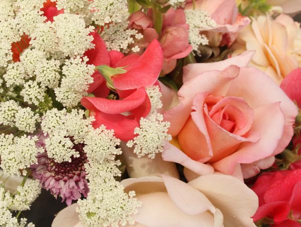 الزهور تودام - زهور الزفاف - الدار البيضاء