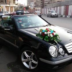 إلما لسيارات الزفاف-سيارة الزفة-بيروت-1