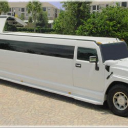 Icon Car Rental-Bridal Car-Dubai-4