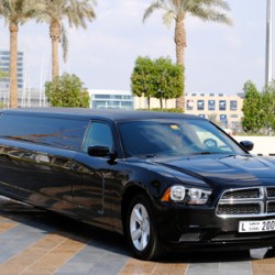 Dubai Exotic Limousine-Bridal Car-Dubai-6