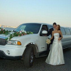 Limousine Rental Dubai-Bridal Car-Dubai-4