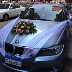 شركة الروبي-سيارة الزفة-الاسكندرية-6