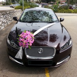 سيارات الغردقة--الغردقة-1